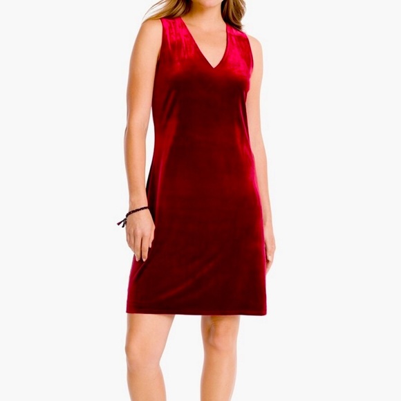 White House Black Market. Plush Velvet shift dress, size 8. - Picture 1 of 7